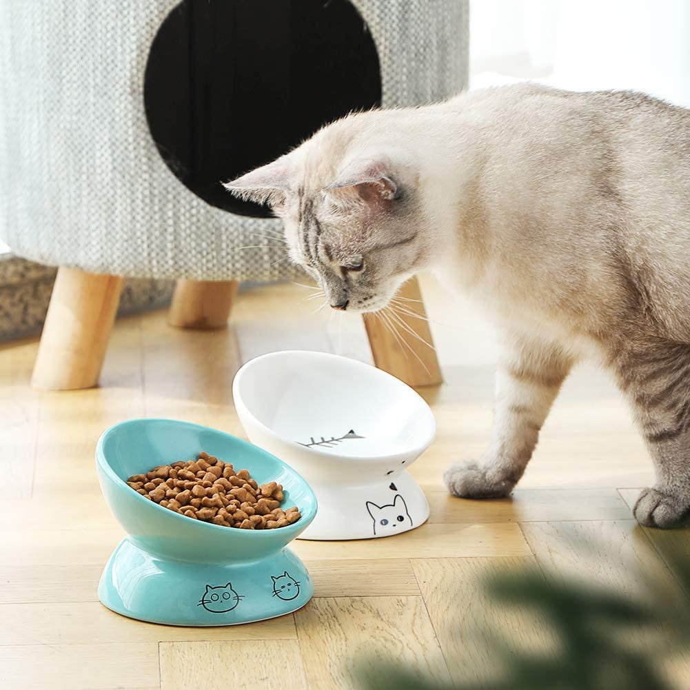 Elevated Ceramic Cat Bowl – Slanted Porcelain Feeder for Food & Water, Spine Protection (White)