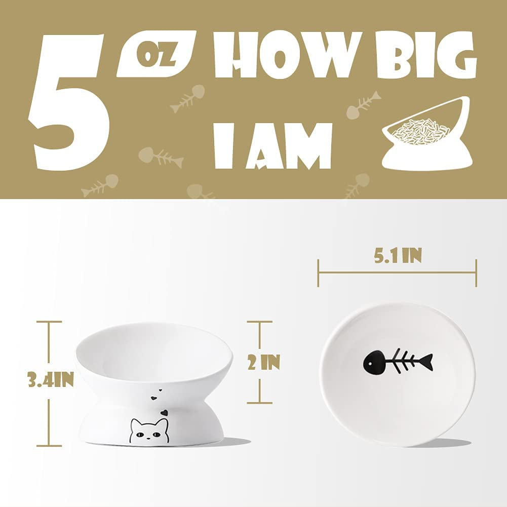 Elevated Ceramic Cat Bowl – Slanted Porcelain Feeder for Food & Water, Spine Protection (White)