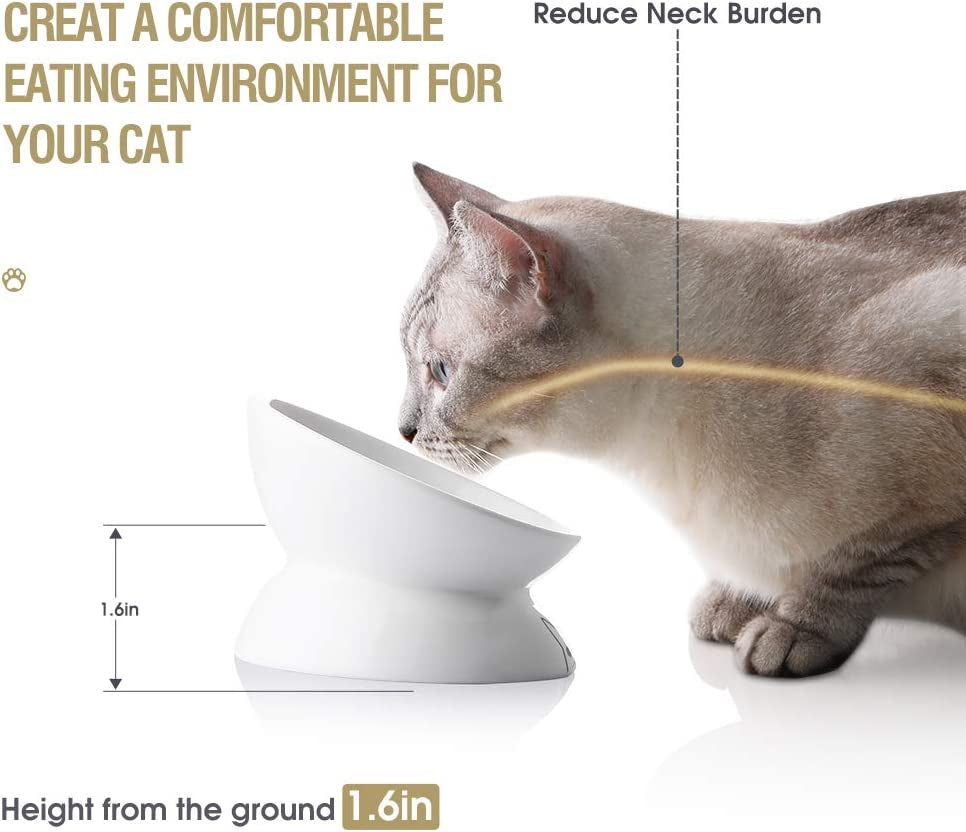 Elevated Ceramic Cat Bowl – Slanted Porcelain Feeder for Food & Water, Spine Protection (White)
