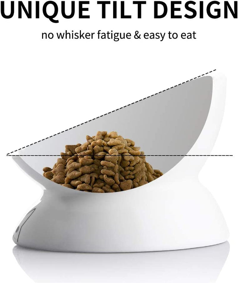 Elevated Ceramic Cat Bowl – Slanted Porcelain Feeder for Food & Water, Spine Protection (White)