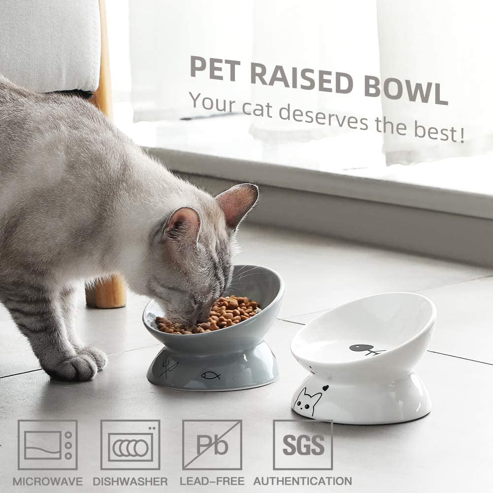 Elevated Ceramic Cat Bowl – Slanted Porcelain Feeder for Food & Water, Spine Protection (White)