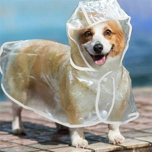 Waterproof Dog Raincoat – Clear PVC Hooded Jacket for Puppies & Dogs