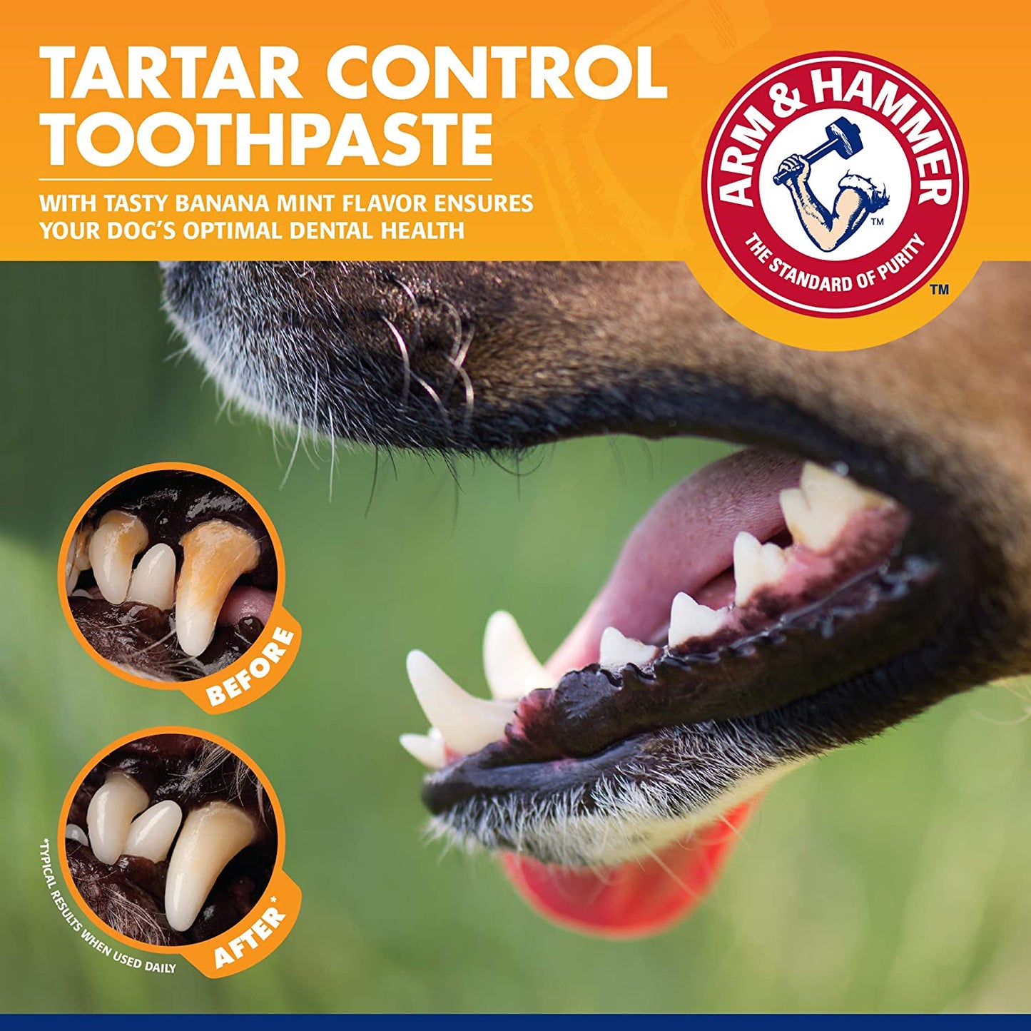 Dog Tartar Control Kit – 3-Piece Dental Set with Toothpaste, Toothbrush & Fingerbrush (Banana Mint)