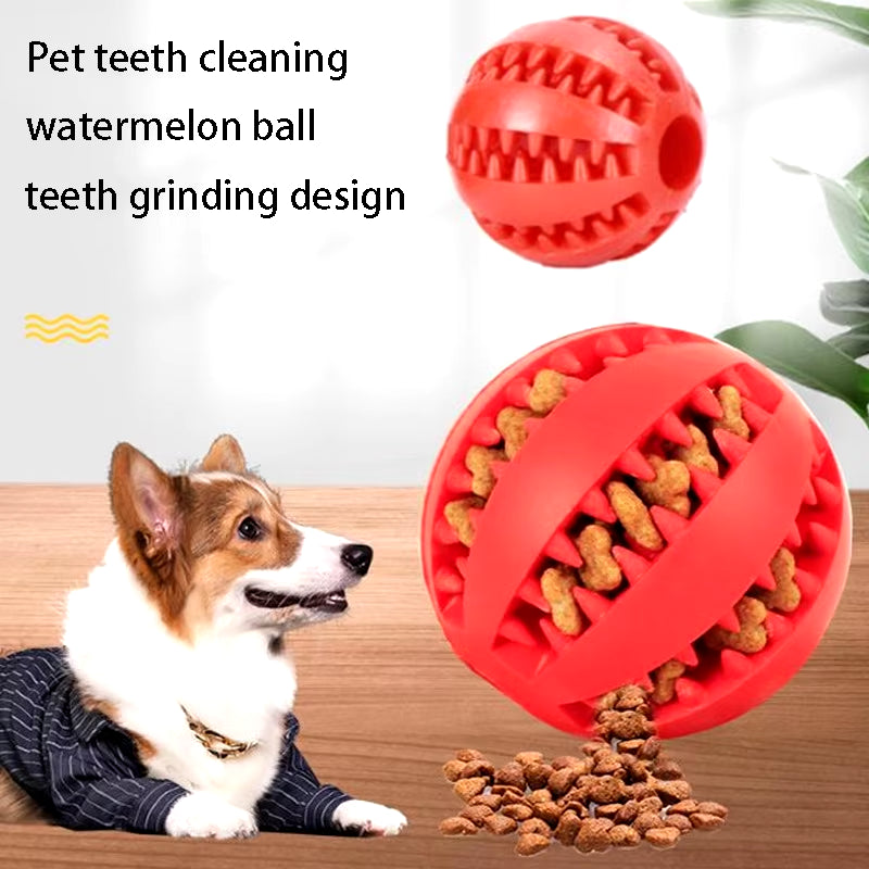 Extra-Tough Natural Rubber Dog Chew Toy – Interactive Treat & Tooth Cleaning Ball (5CM)