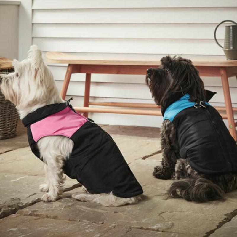 Waterproof Winter Dog Coat – Warm Outdoor Jacket Vest for Puppies & Small Dogs