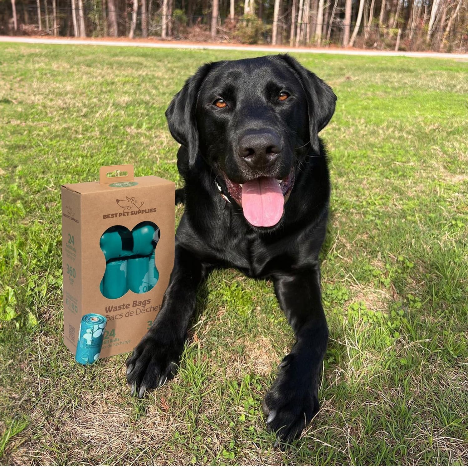 360 Dog Poop Bags – Leak-Proof, Tear-Resistant Waste Bags for Walking & Travel (Turquoise)